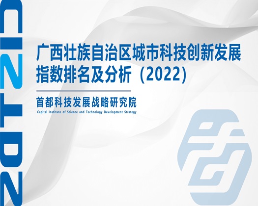 老太透逼视频【成果发布】广西壮族自治区城市科技创新发展指数排名及分析（2022）